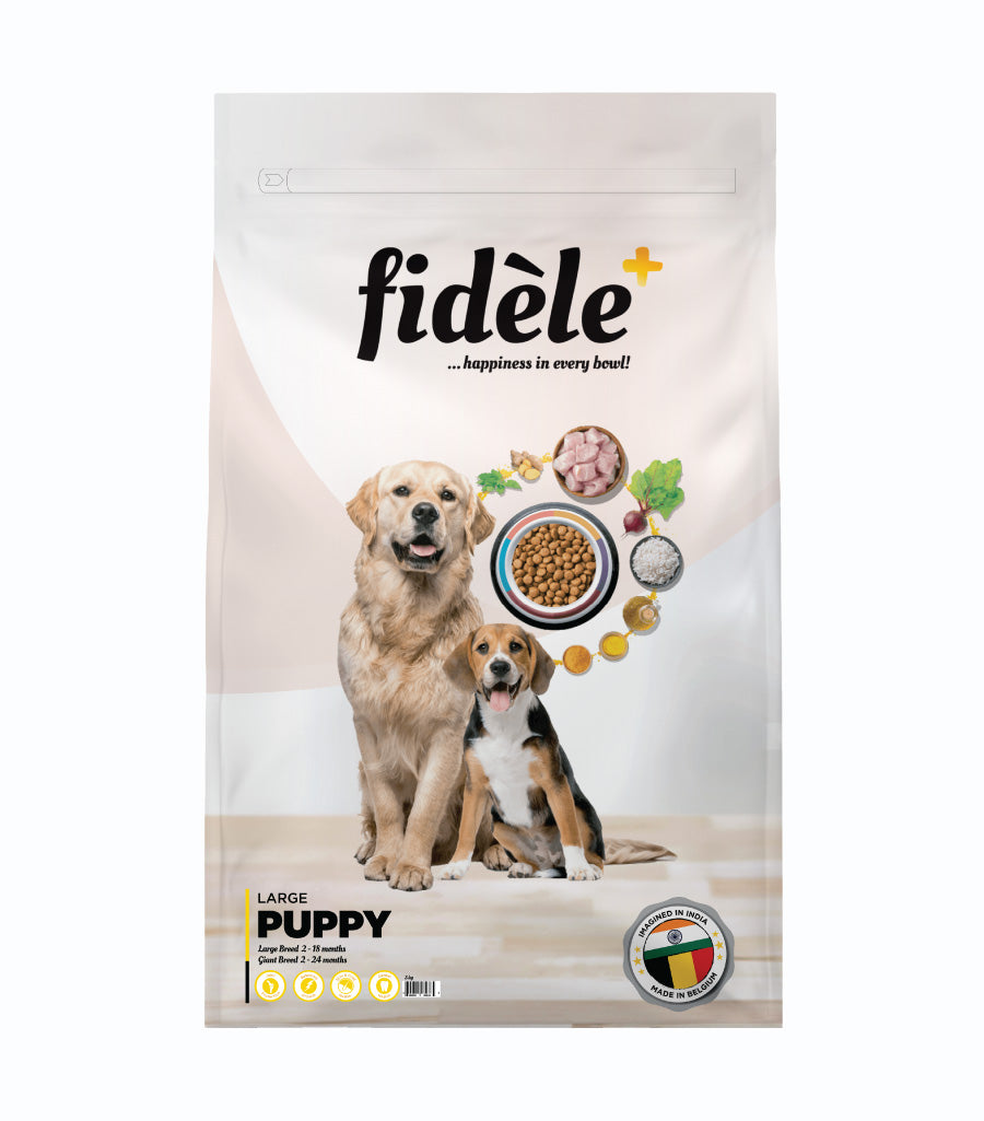 Fidele+ Dry Dog Food Large Puppy 3-Kg