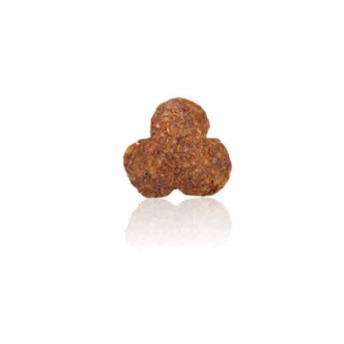 Arden Grange Dry Dog Food Adult Sensitive 2-kg